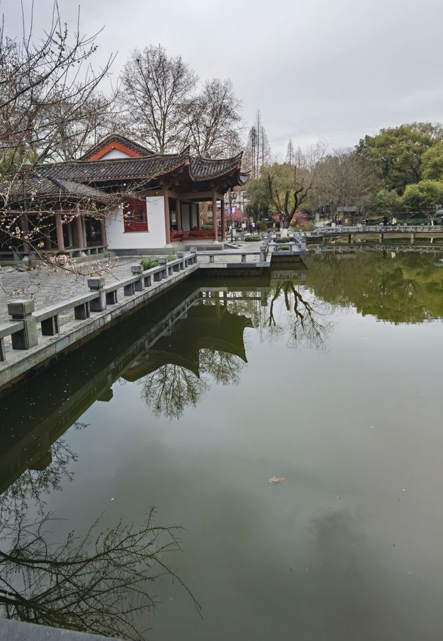 浙江衢州-府山公園