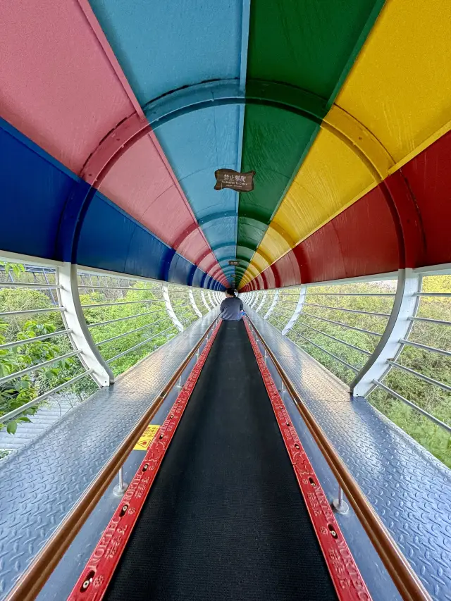 Spring Festival Tour Day 11: From Yuanjiang to Mojiang Tropic of Cancer Marker Park