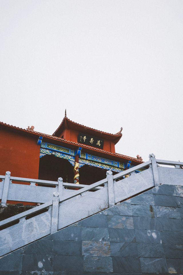 看看陽明山的霧凇