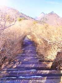 龜峰山