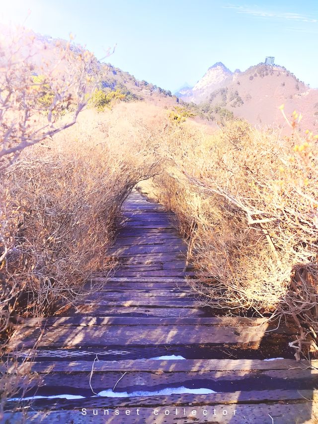 龜峰山