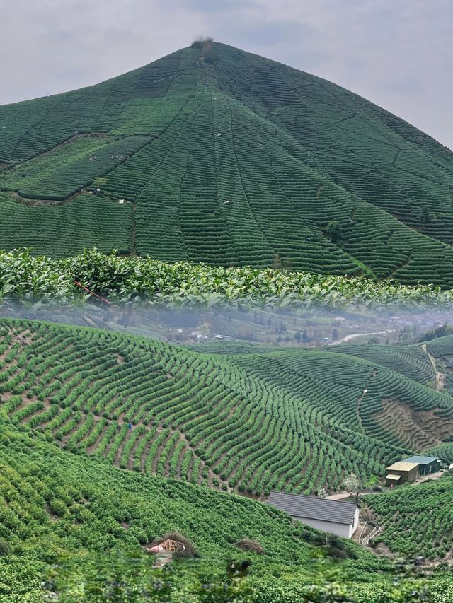 城山古道休閒徒步