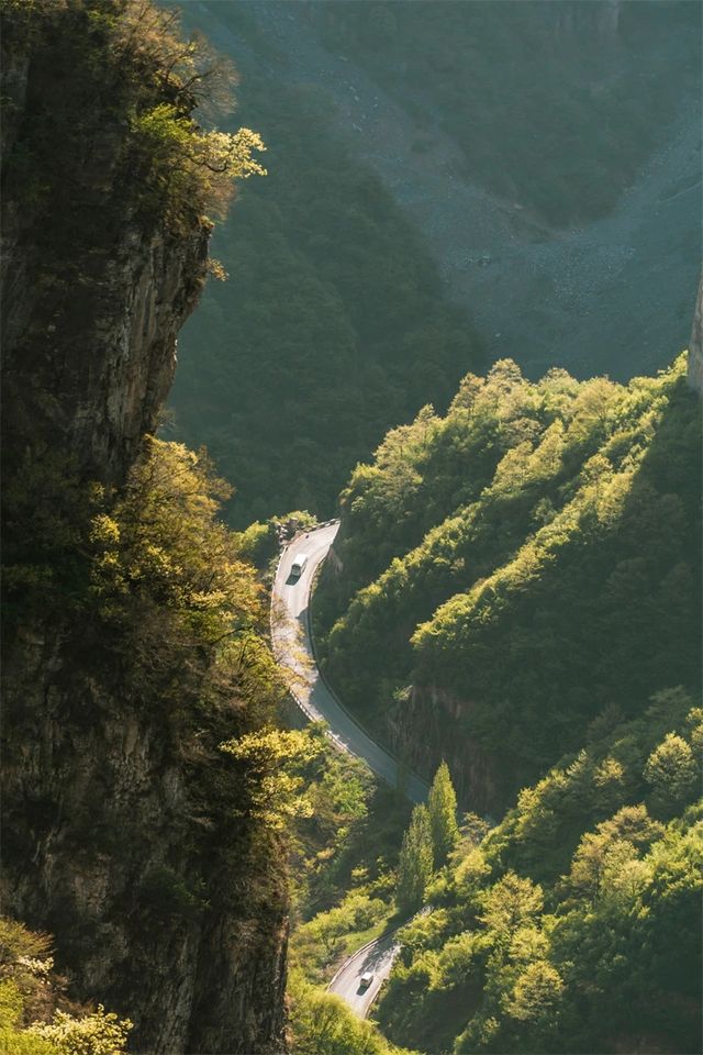 中國這個隱秘賞花地，山水遠超桂林~