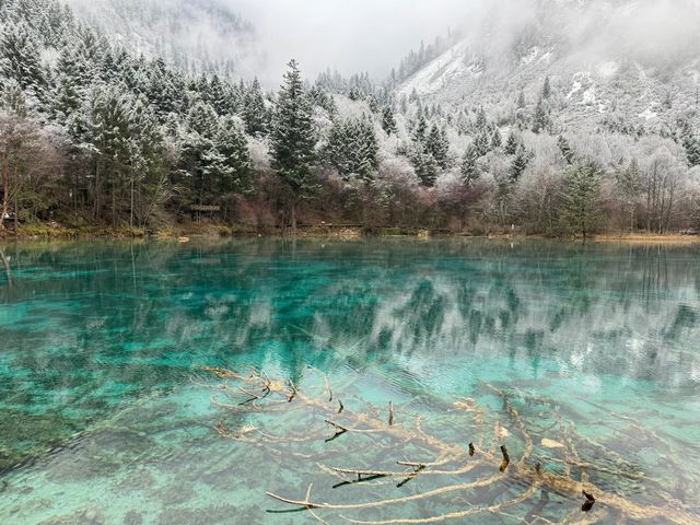 四川九寨溝｜誰懂？下雪的九寨溝是長成這樣的