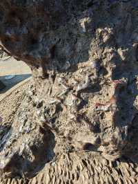 山西晉中靈石天石公園丨“靈石”是一塊隕石，發現於1400多年前