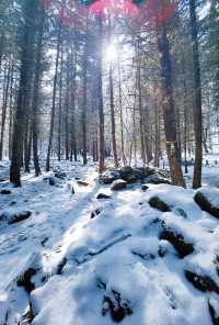 川西厄爾納溝‖南方小土豆的冰雪童話世界