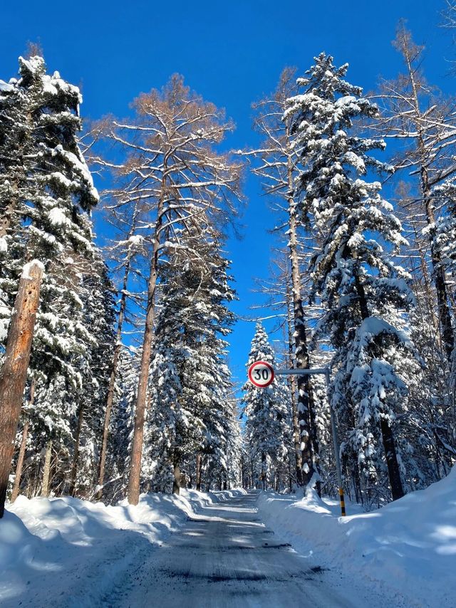 長白山旅遊攻略