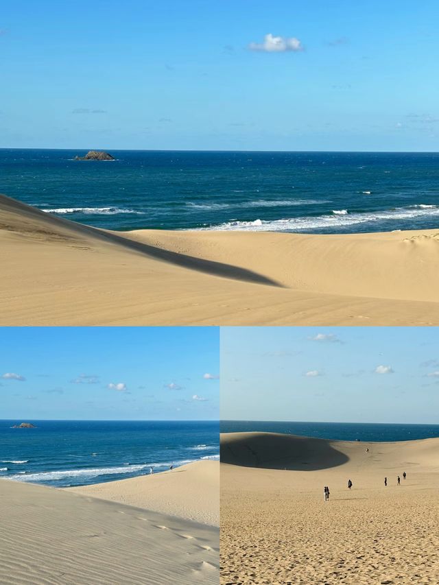 日本少見的壯觀絕景！一邊是大海，一邊是沙漠！