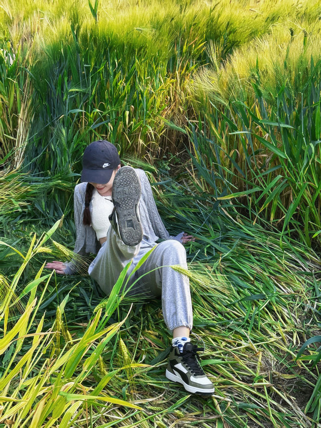 福州拍照｜在福州！！找到了童話裡的麥田！！