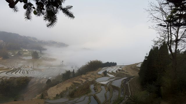 元陽梯田～～麻栗寨觀景台