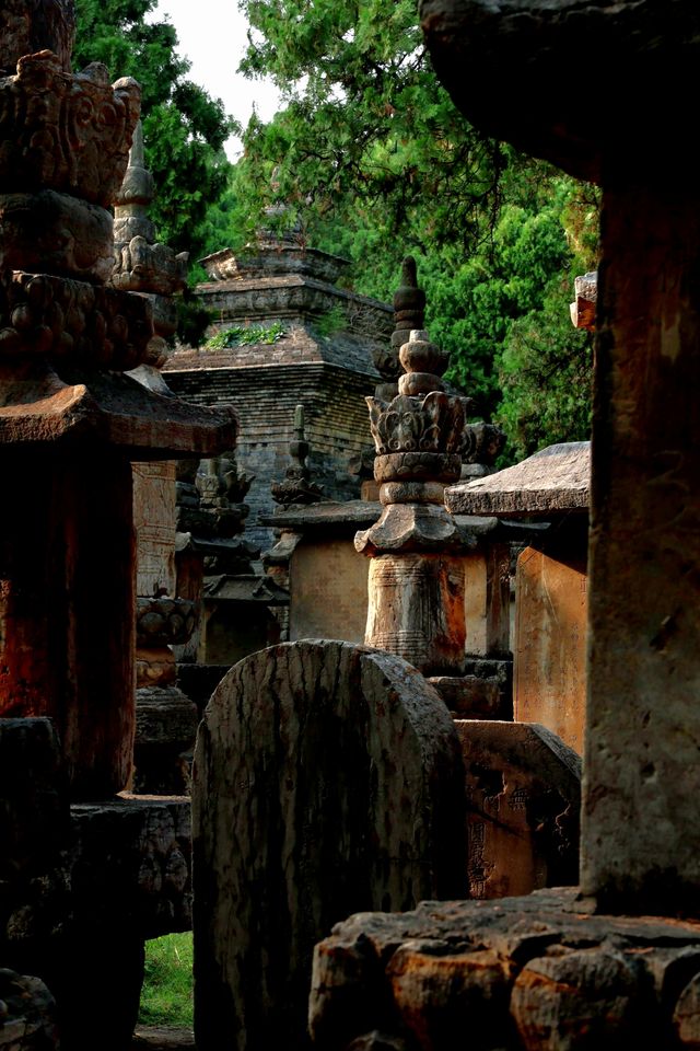 唐宋元明清，石塔博物館|靈巖寺墓塔林（965）