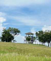 天啦噜!!又到了這個公園最美的季節別錯過來到這裡