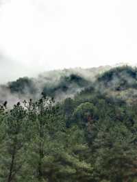 雲遮霧罩西峽峰，蒼翠欲滴水隆隆