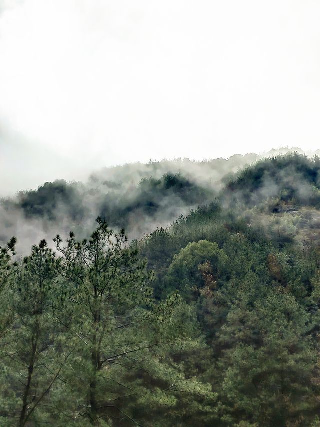 雲遮霧罩西峽峰，蒼翠欲滴水隆隆