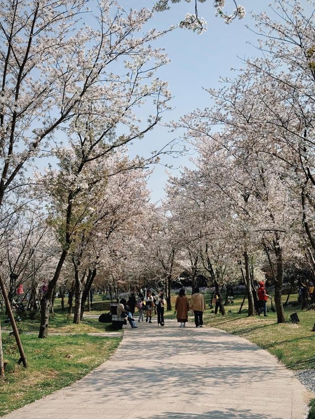 2天1夜｜煙花三月下揚州（親測成功版！！！||