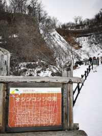 北海道知床半島的神秘瀑布