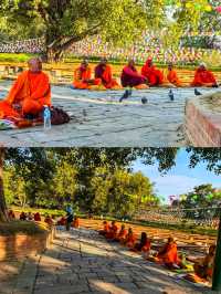 尼泊爾｜佛教聖地— 藍吡尼園