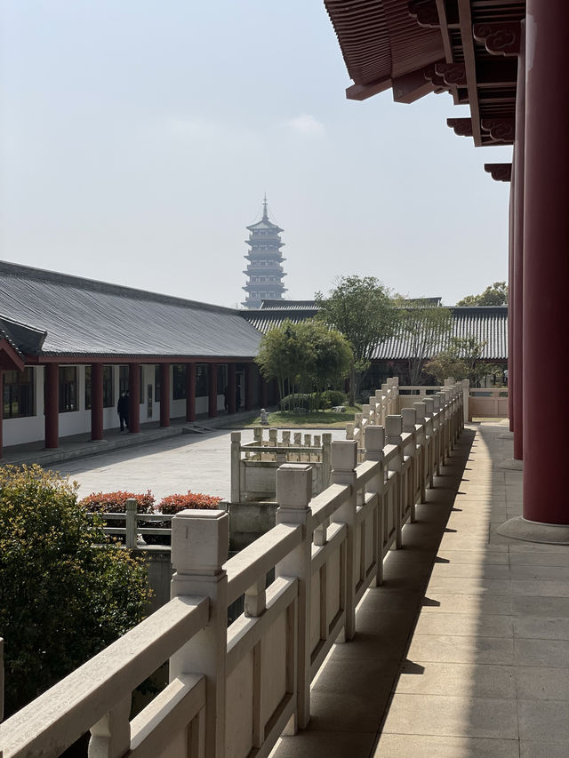 煙花三月下揚州｜鑑真大道賞櫻