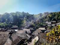 世界文化遺產～景邁山！冬櫻，茶山，雲海，日落