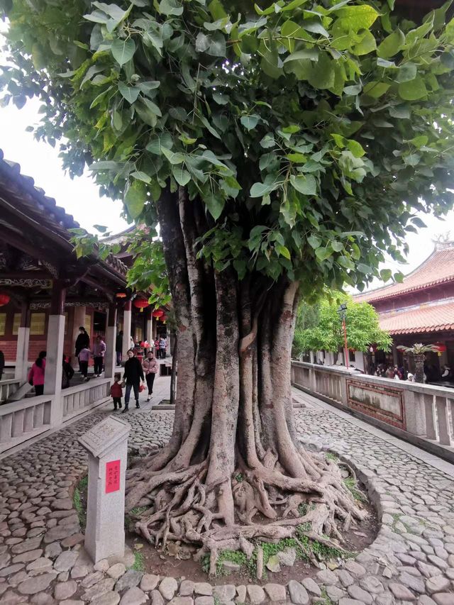 「此地古稱佛國，滿街都是聖人」，泉州名片：開元寺