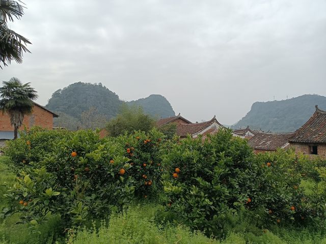 廣西自駕遊（十七）