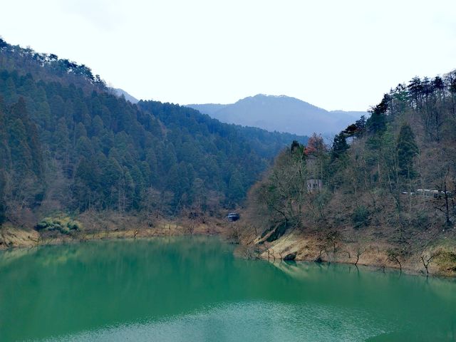 庐山西麓