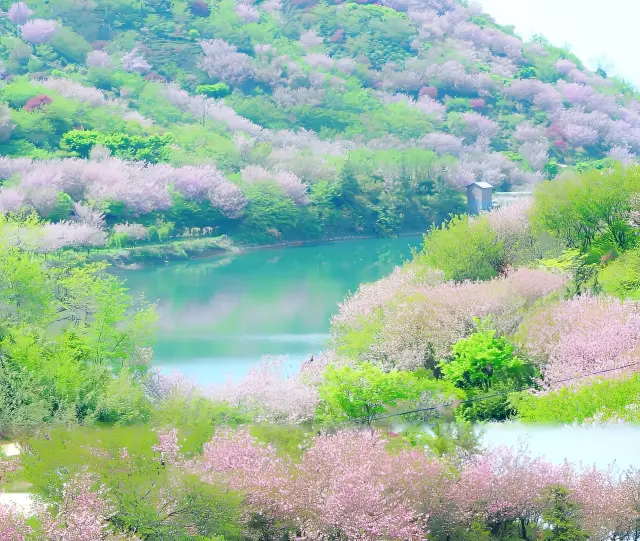 Si Ming Mountain and Fu Zhi Mountain are recommended as off-the-beaten-path destinations for flower viewing
