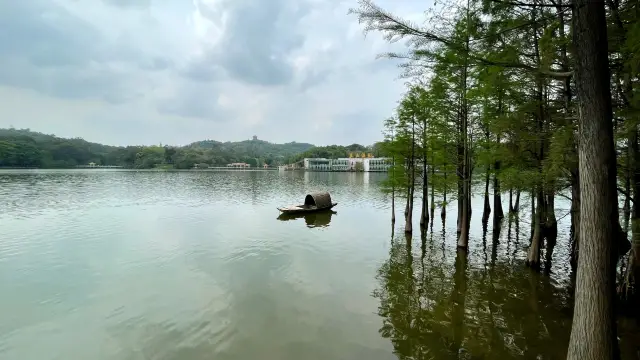 麓湖の翠緑という緑があります