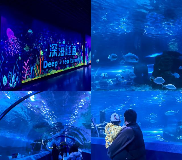 秦皇島週末溜娃拍照好去處|新澳海底世界 秦皇島週末溜娃拍照好去處|新澳海底世界