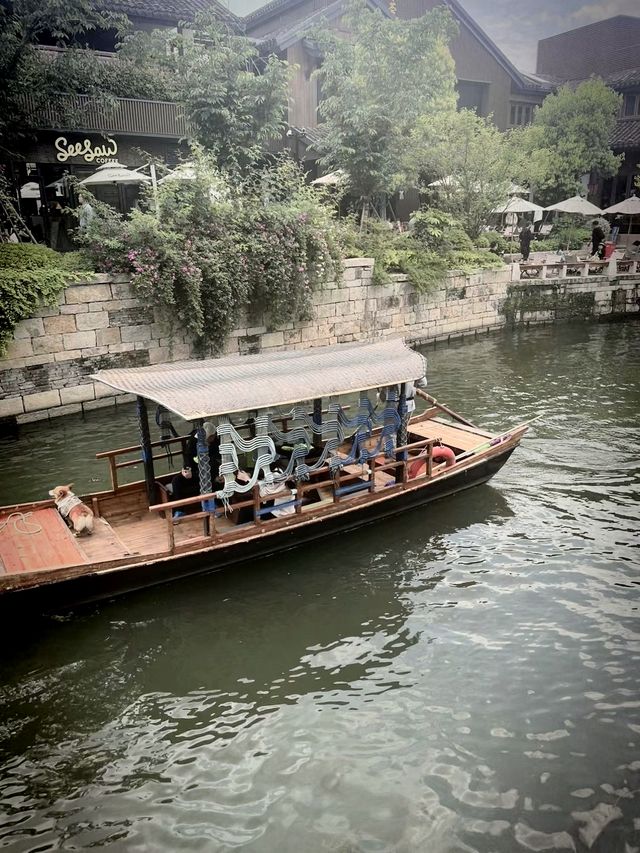 江南古鎮新景點-蟠龍