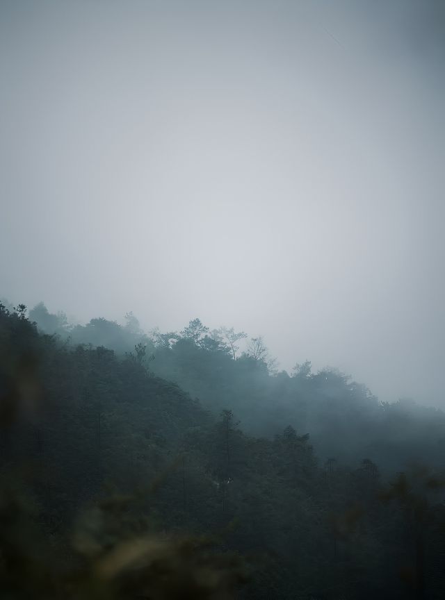 朋友圈被問到的小眾秘境竟然在廈門