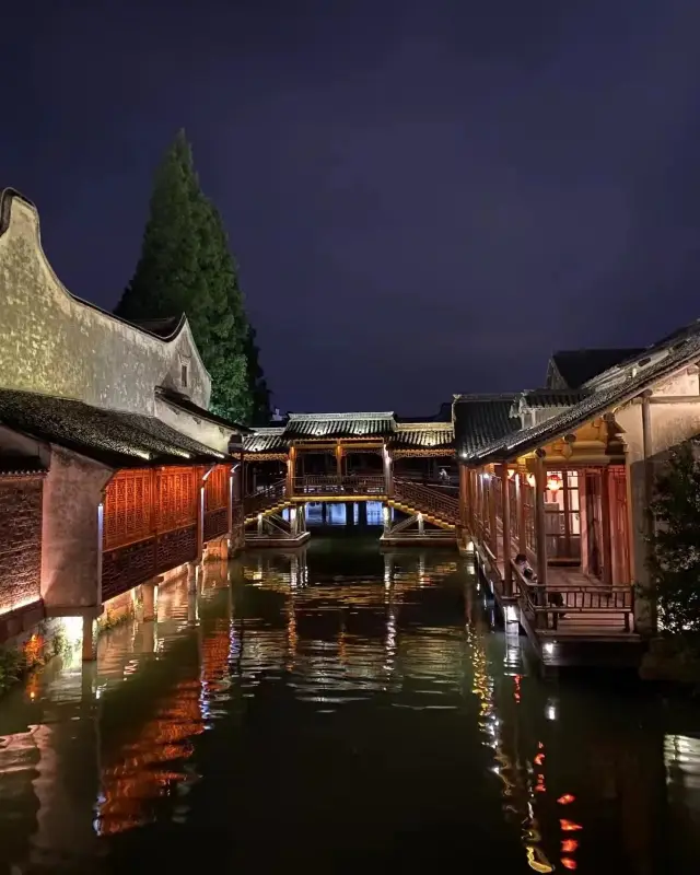 Visit Wuzhen