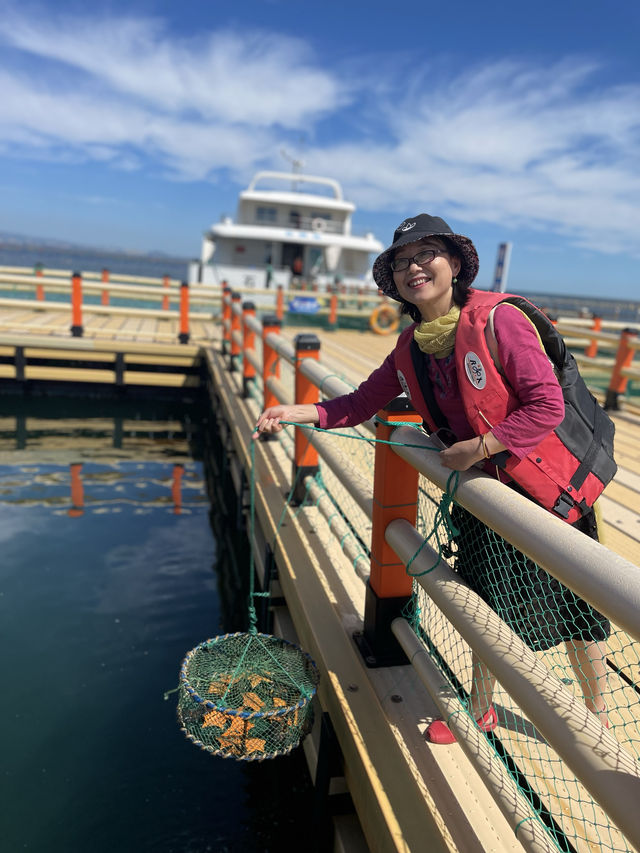 夏天去榮成海洋牧場坐船出海｜東楮島海洋牧場
