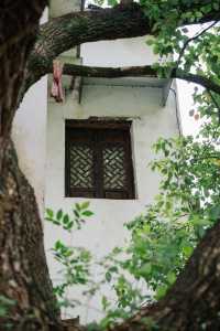 避開人潮，杭州1h去浦江看這個800年的古村