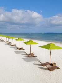 🌴🌊 Panglao's Paradise: Oceanica Resort's Top Picks! 🏖️✨