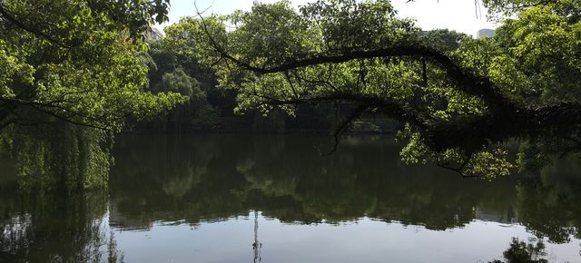 臨海東湖公園詳細攻略