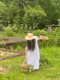 誰懂，鄉村生活帶來的治癒感！超愜意的一天