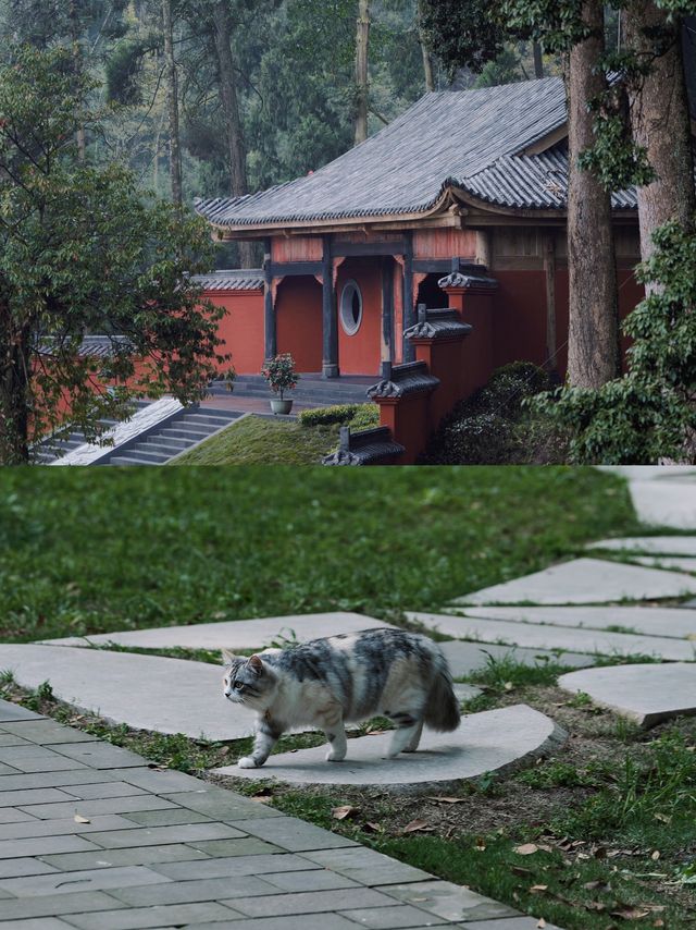 從成都出發2小時!藏在山林古寺旁的療癒居所 從成都出發2小時!藏在山林古寺旁的療癒居所