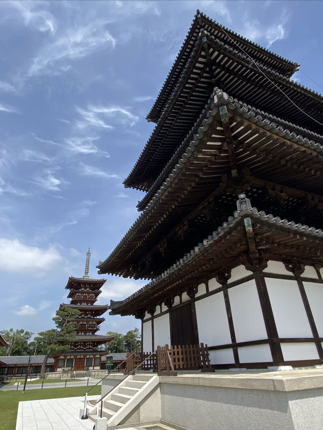 水稻田間，遙看藥師寺