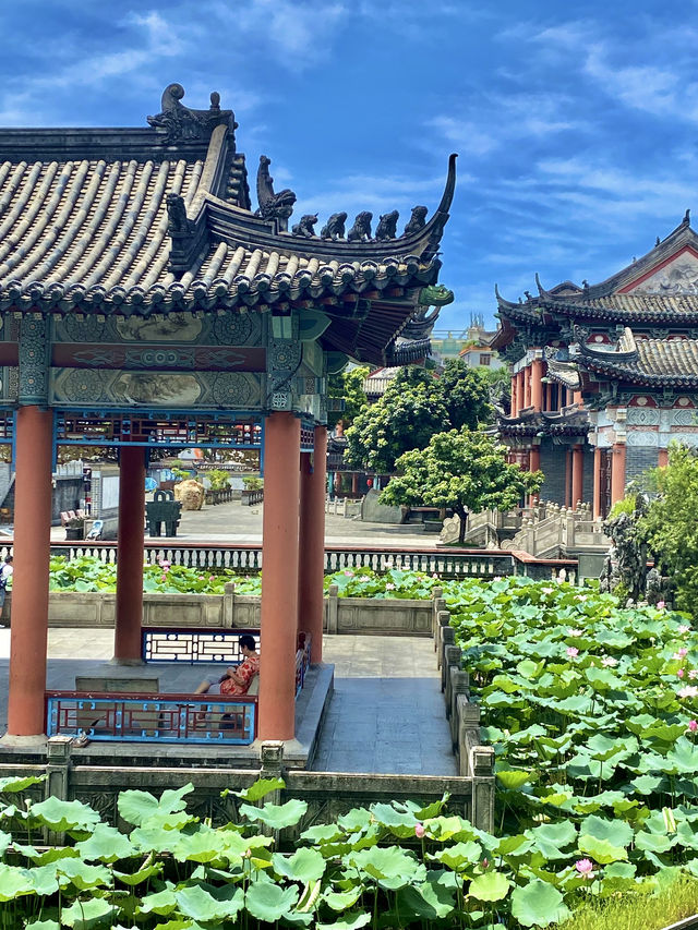 誤入藕花深處，深圳小蘇杭，古城荷花