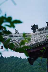 什麼？聽說這個地方…不會吧…