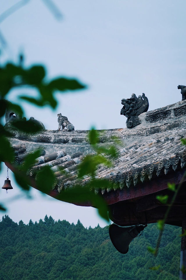 什麼？聽說這個地方…不會吧…