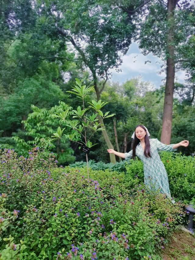暑假旅行指南 |元享受的精彩吸氧之旅