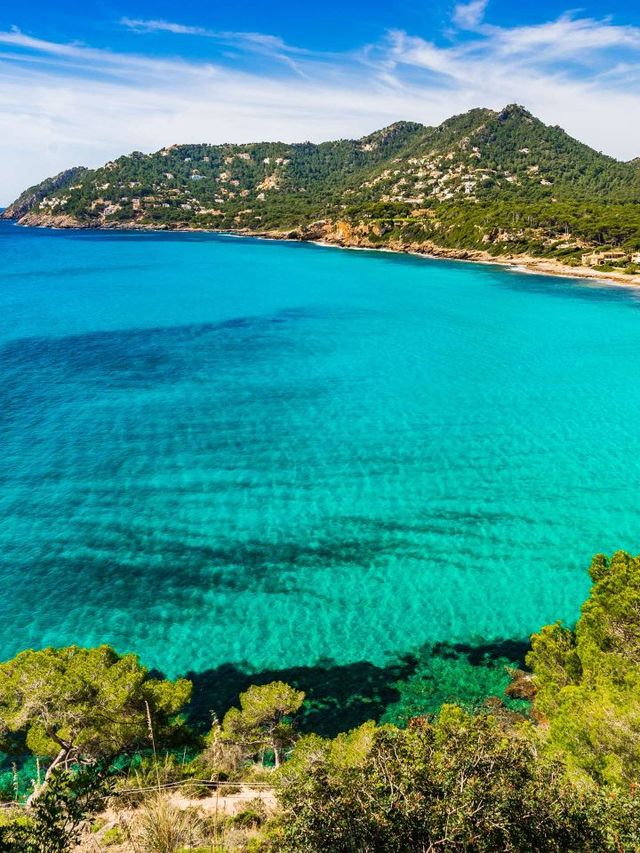 🌟 Majestic Mallorca: Cap Vermell Grand Hotel Review 🌟