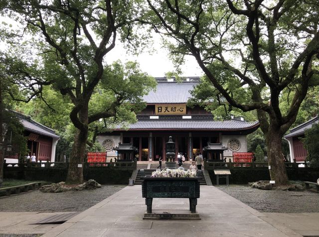 追完了杭州“西湖三杰”，突然明白了人生