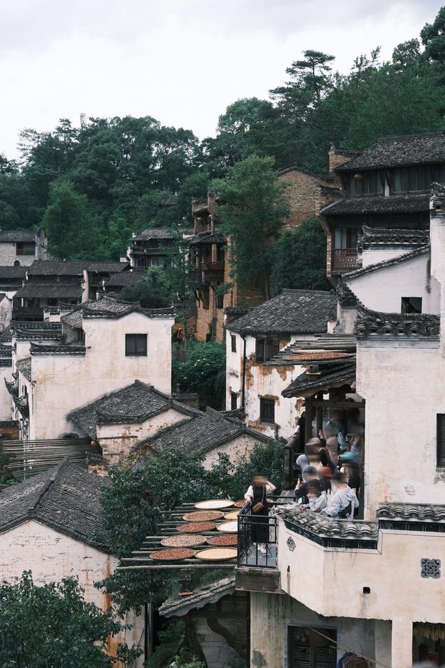 最美鄉村|婺源篁嶺7小時CountryWalk旅遊攻略 最美鄉村|婺源篁嶺7小時CountryWalk旅遊攻略