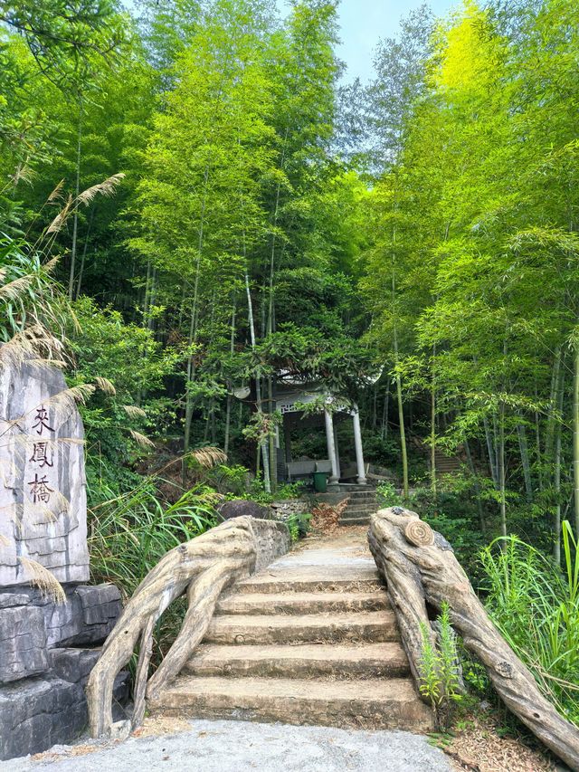 青田縣吳坑鄉尚仁村