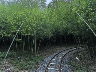Bamboo Forest Water Village - Xizhanggan