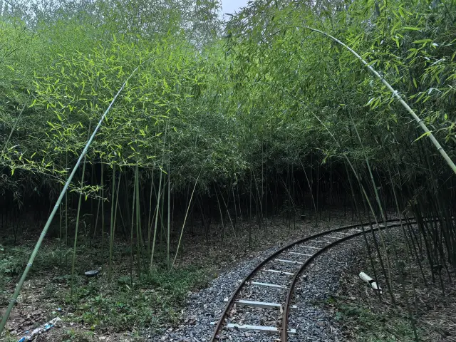 Bamboo Forest Water Village - Xizhanggan