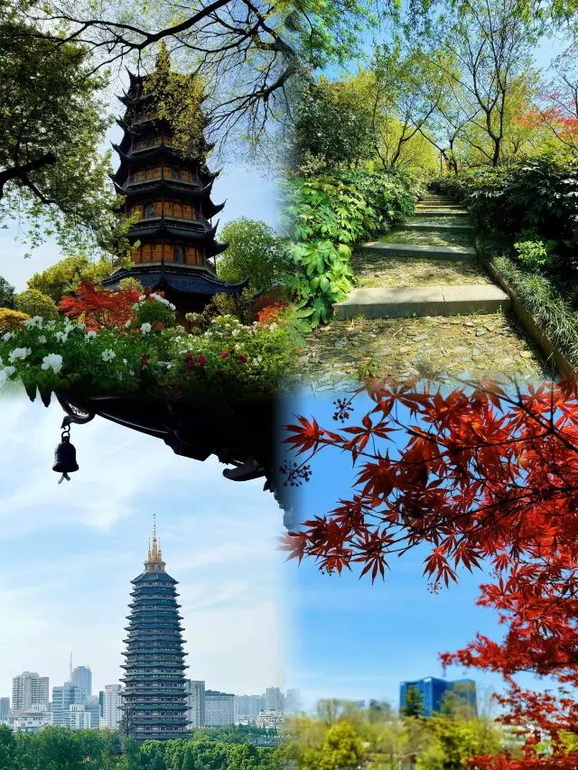常州第一園林 ｜24小時免費開放的紅梅公園